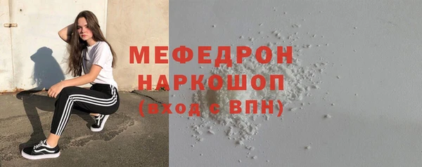 гашик Дмитров