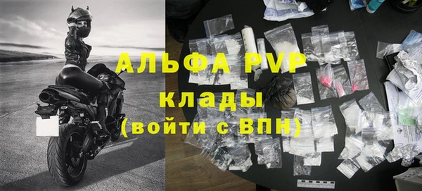 гашик Дмитров