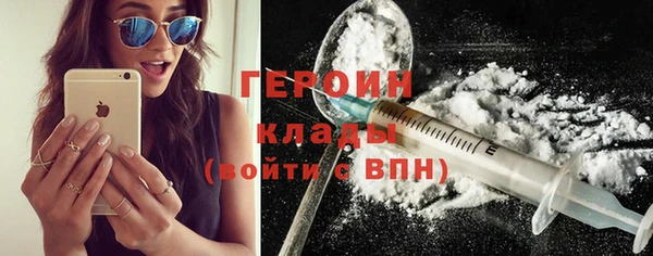амф Тайга