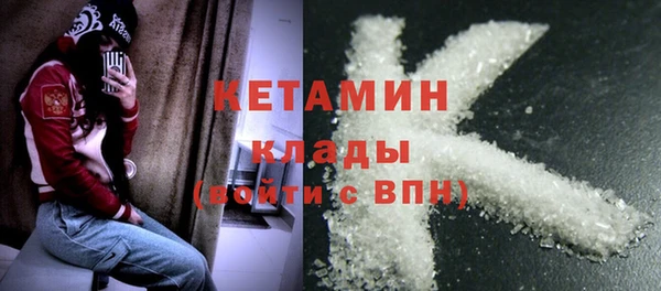 гашик Дмитров