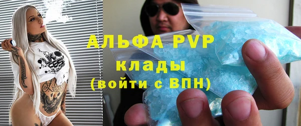 гашик Дмитров