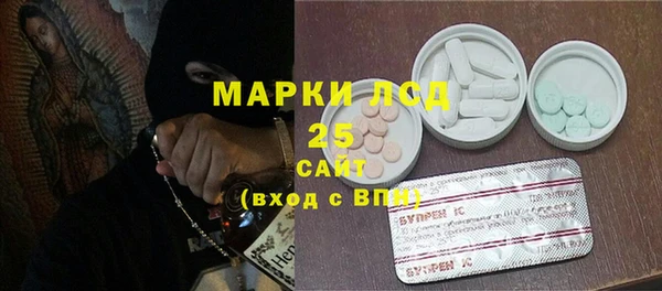 гашик Дмитров